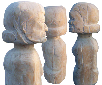 Bild evolution von Uli Aschenborn